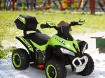 Miniatura 10