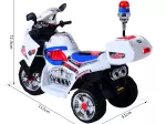 Miniatura 9