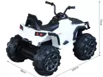 Miniatura 9