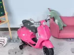 Miniatura 0