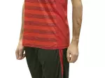 Miniatura 0
