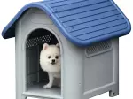 Miniatura 10