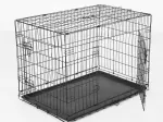 Miniatura 12