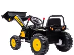 Miniatura 12