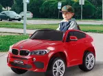 Miniatura 0