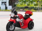 Miniatura 11