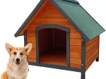 Miniatura 0