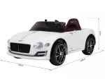 Miniatura 10
