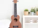 Miniatura 0