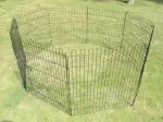 Miniatura 8