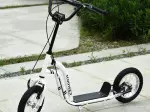 Miniatura 0