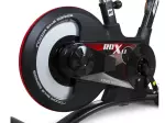 Miniatura 12