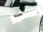Miniatura 10