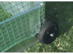 Miniatura 0