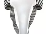 Miniatura 0