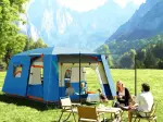 Miniatura 10