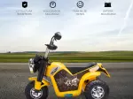 Miniatura 6