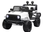 Miniatura 0