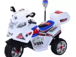 Miniatura 10