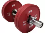 Miniatura 8