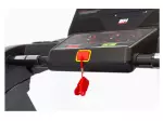 Miniatura 10