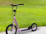 Miniatura 0