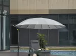 Miniatura 0