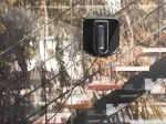Miniatura 11