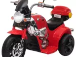 Miniatura 10