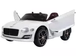 Miniatura 9