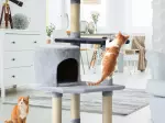 Miniatura 0