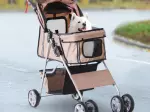 Miniatura 12