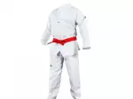 Miniatura 0