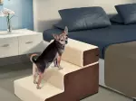 Miniatura 0