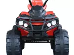 Miniatura 11