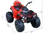 Miniatura 9