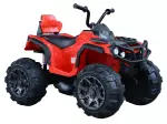 Miniatura 12