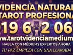 Miniatura 0