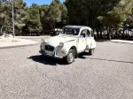 Miniatura 0