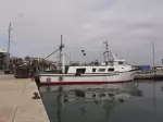 Miniatura 0