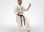 Miniatura 0