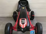 Miniatura 10