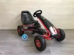 Miniatura 9