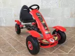 Miniatura 13