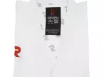 Miniatura 13
