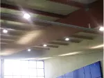 Miniatura 0