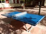 Miniatura 10
