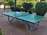 Miniatura 9