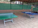 Miniatura 11