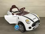 Miniatura 10